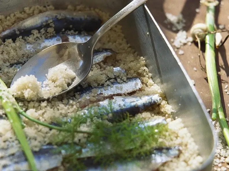 Gegrillte Salz-Sardinen