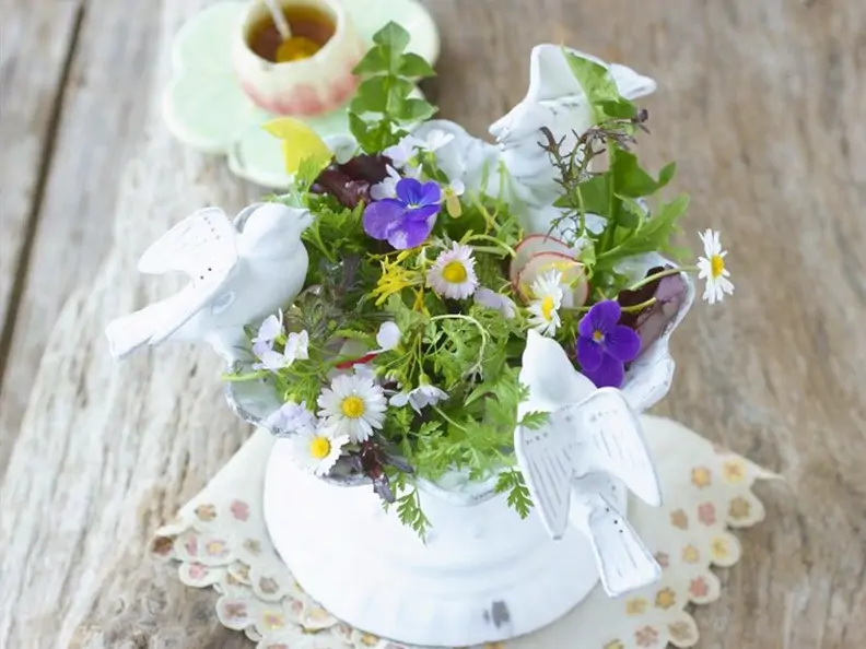 Essblütensalat mit Honigdressing