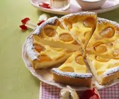 Quarktarte mit Aprikosen