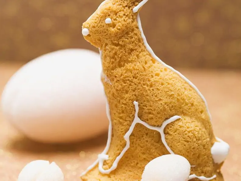 Hasen-Kuchen