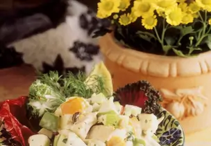 Fruchtiger Geflügelsalat