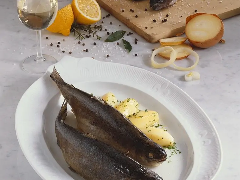 Forelle Blau mit Petersilienkartoffeln