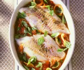 Gebackener Zander mit Tomatensauce