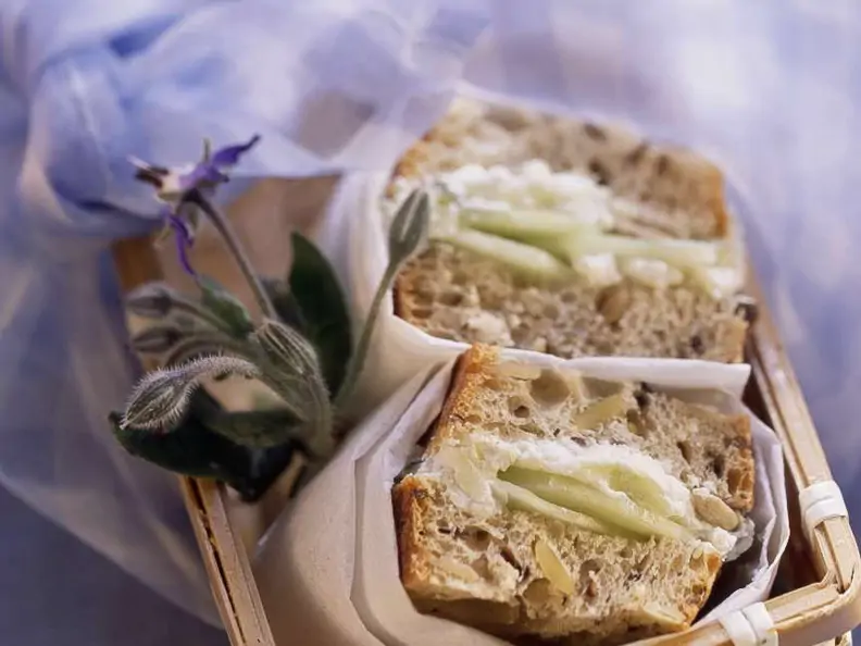 Gurken-Sandwich mit Ziegenkäse