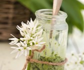 Bärlauchpesto mit Crème fraîche