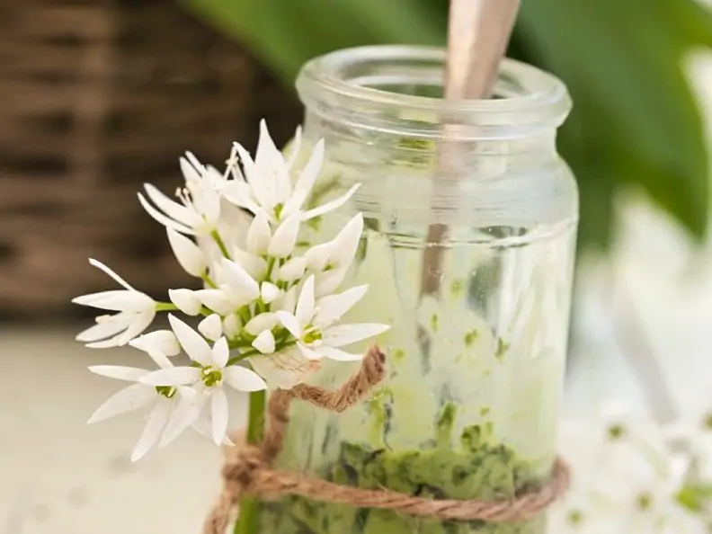 Bärlauchpesto mit Crème fraîche