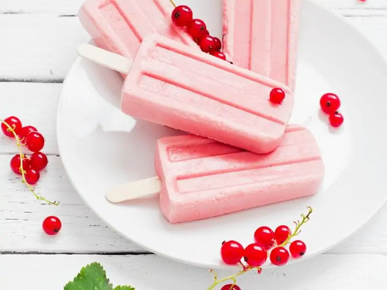 Johannisbeer-Joghurt-Eis