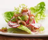 Krabben-Radieschen-Salat
