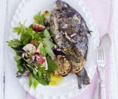 Dorade vom Grill mit Kräutersalat