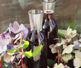 Holundersirup
