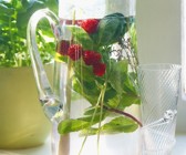 Erfrischendes Wasser