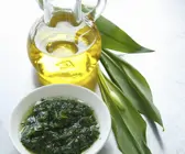 Pesto mit Bärlauch