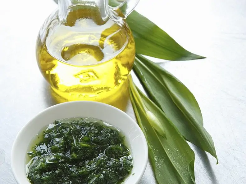 Pesto mit Bärlauch