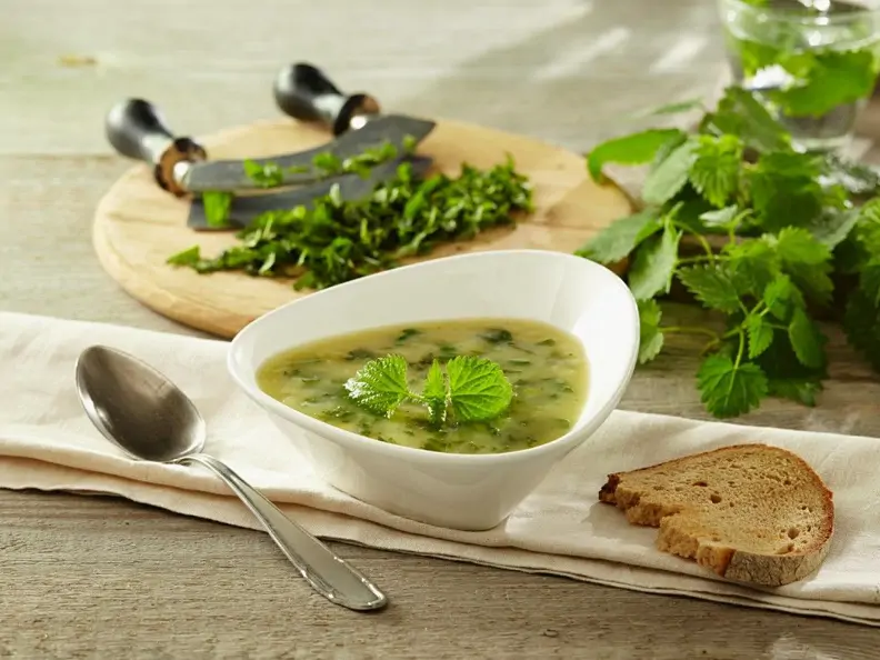 Kartoffel-Brennnessel-Suppe