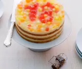 Edle Melonen-Frischkäse-Torte