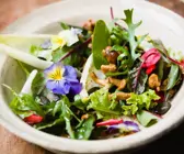 Blattsalat mit Pfifferlingen
