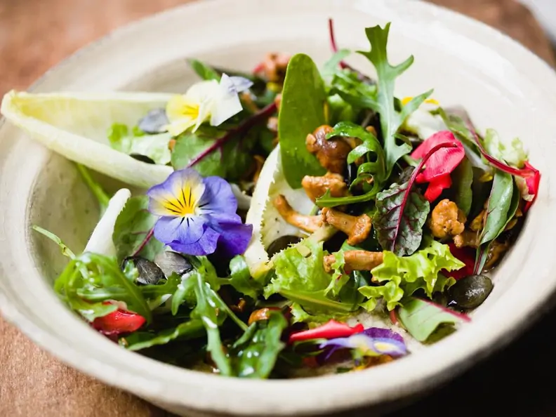 Blattsalat mit Pfifferlingen