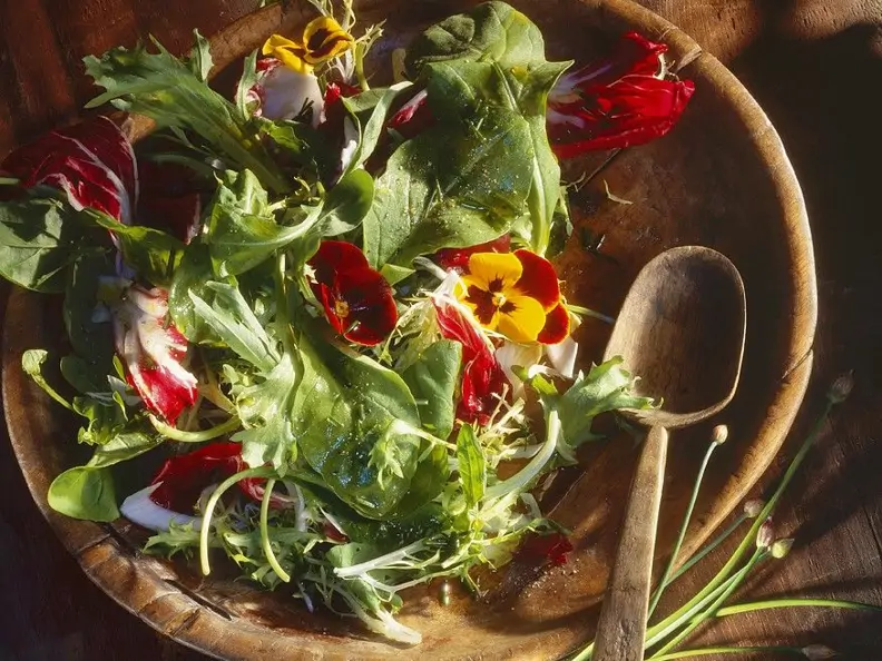 Blattsalat mit Blüten und Schnittlauchdressing