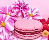 Himbeer-Macaron
