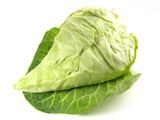 Spitzkohl